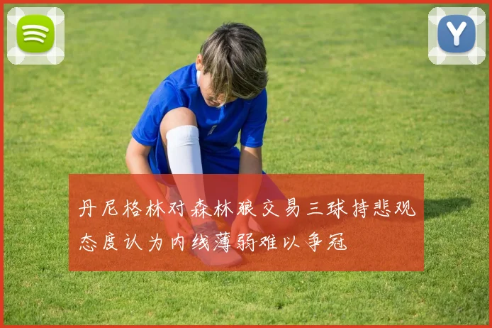 丹尼格林对森林狼交易三球持悲观态度认为内线薄弱难以争冠